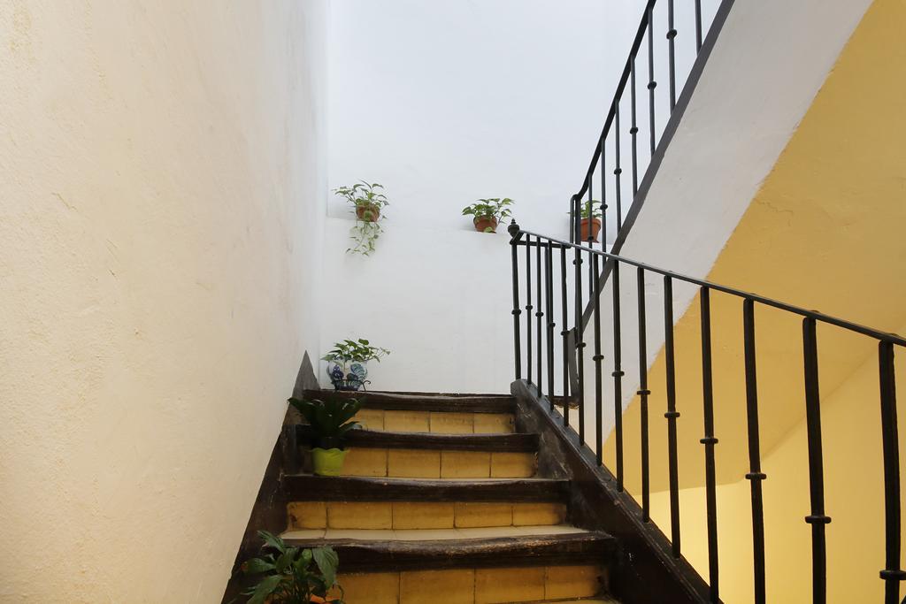 Lobos Granada