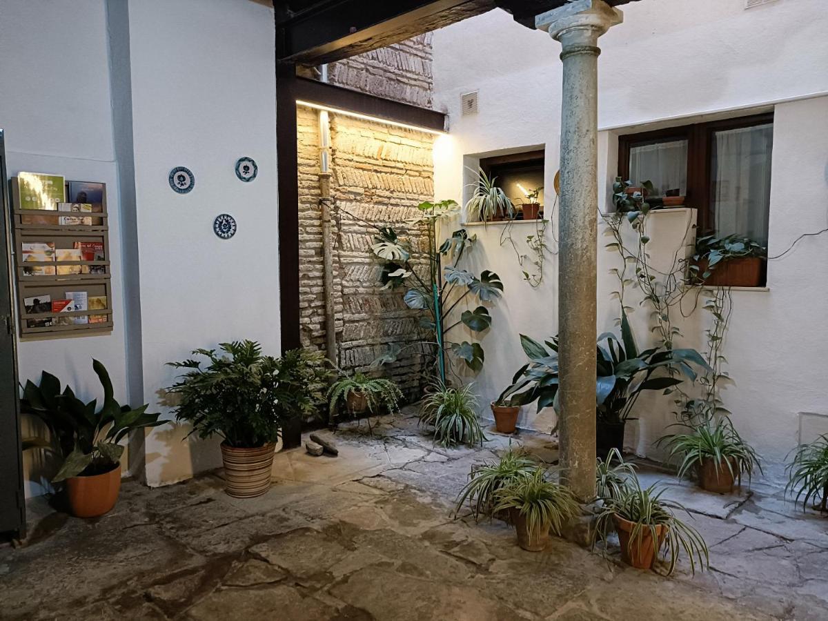 Lobos Granada